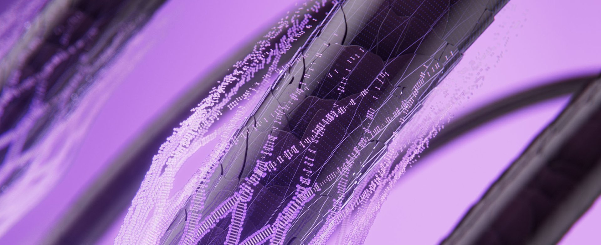 251125 Oap Elvive Collagen Lifter Benefits Article Stage 2000x815 Dmi Website