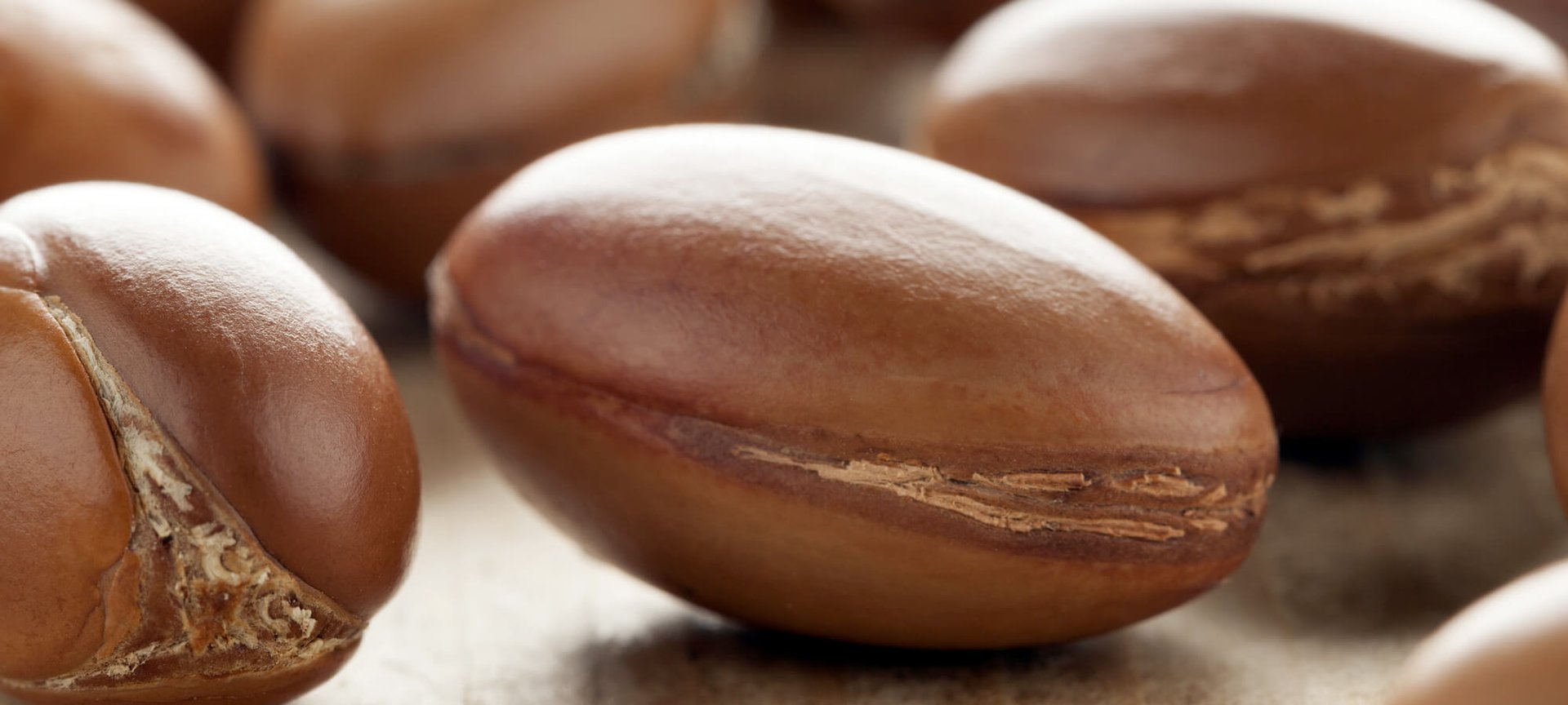 Back To The Future Traditional Active Ingredients That Still Amaze Article