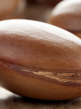 Back To The Future Traditional Active Ingredients That Still Amaze Article