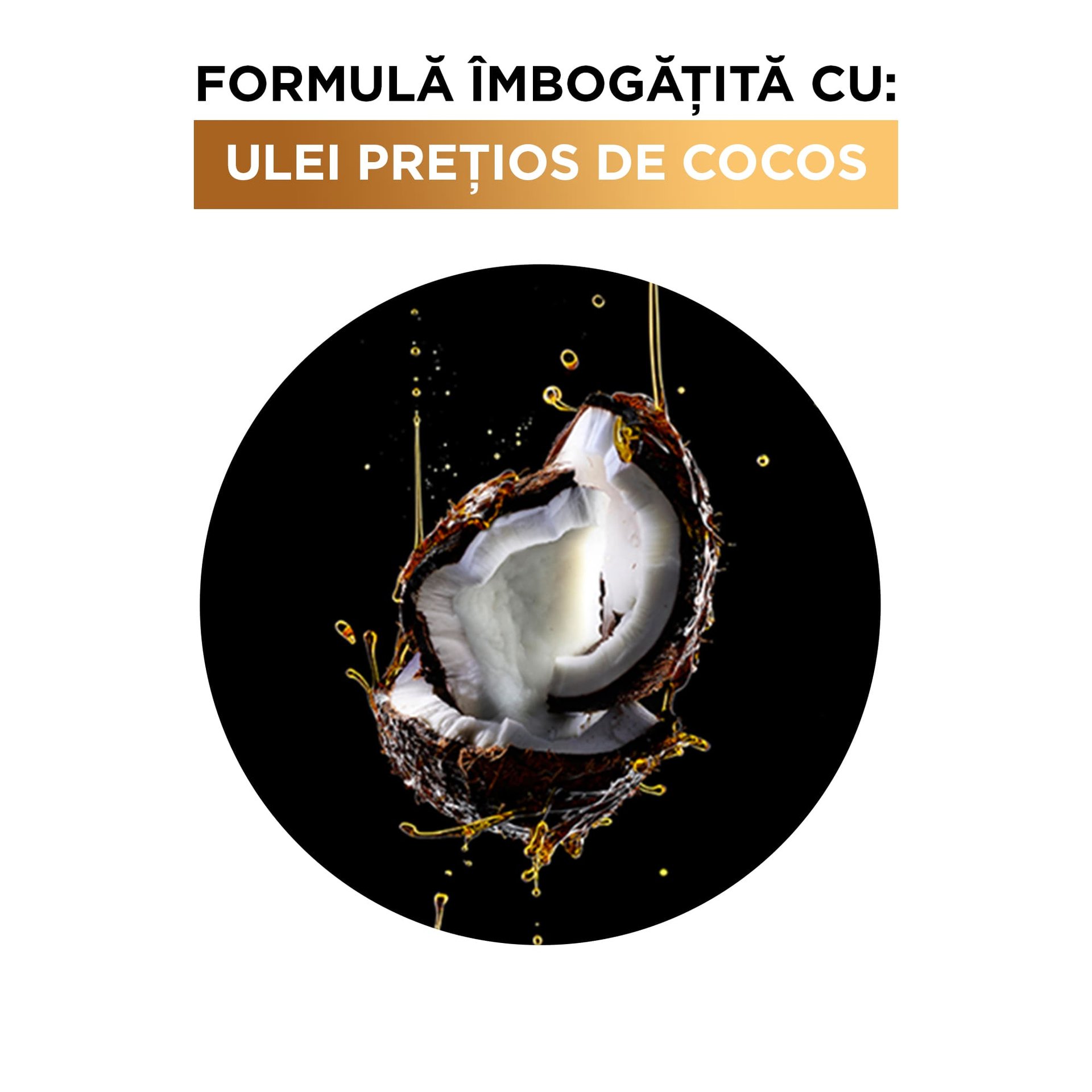 sampon elseve ulei extraordinar cu cocos ingrediente