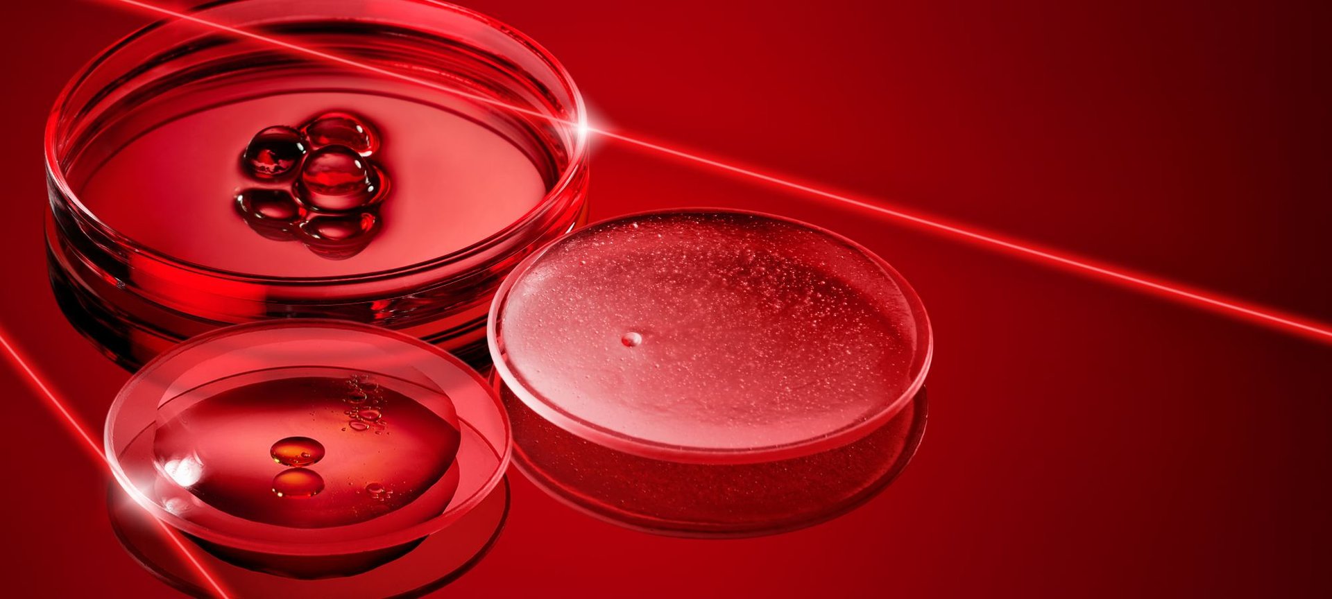 Revitalift Laser Homepage